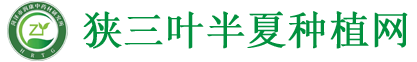 这里是您的网站名称